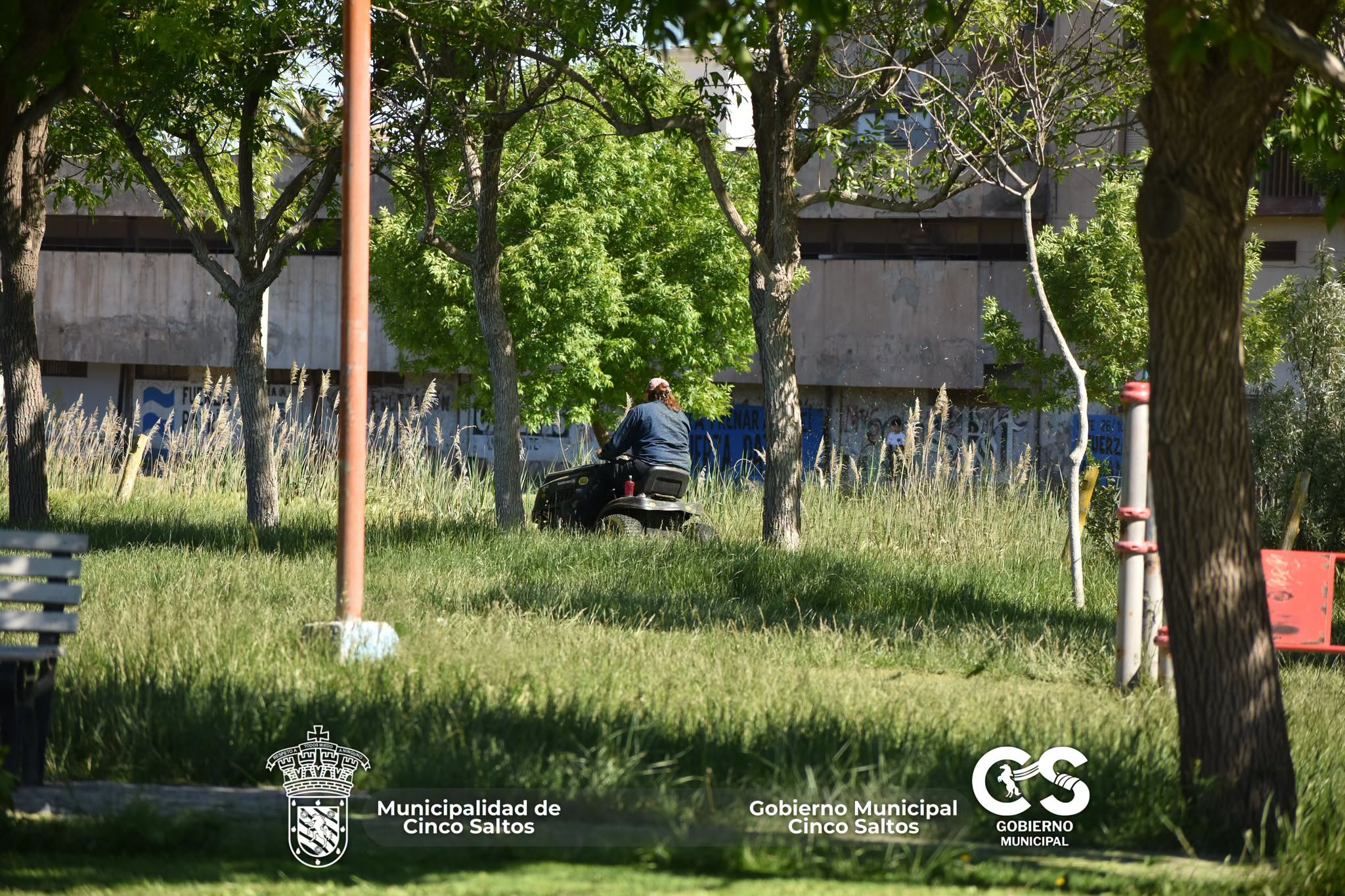 Coordinación de Espacios Verdes - Foto 2