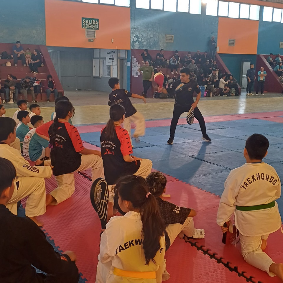 Taekwondo Infantil en la Escuela Municipal