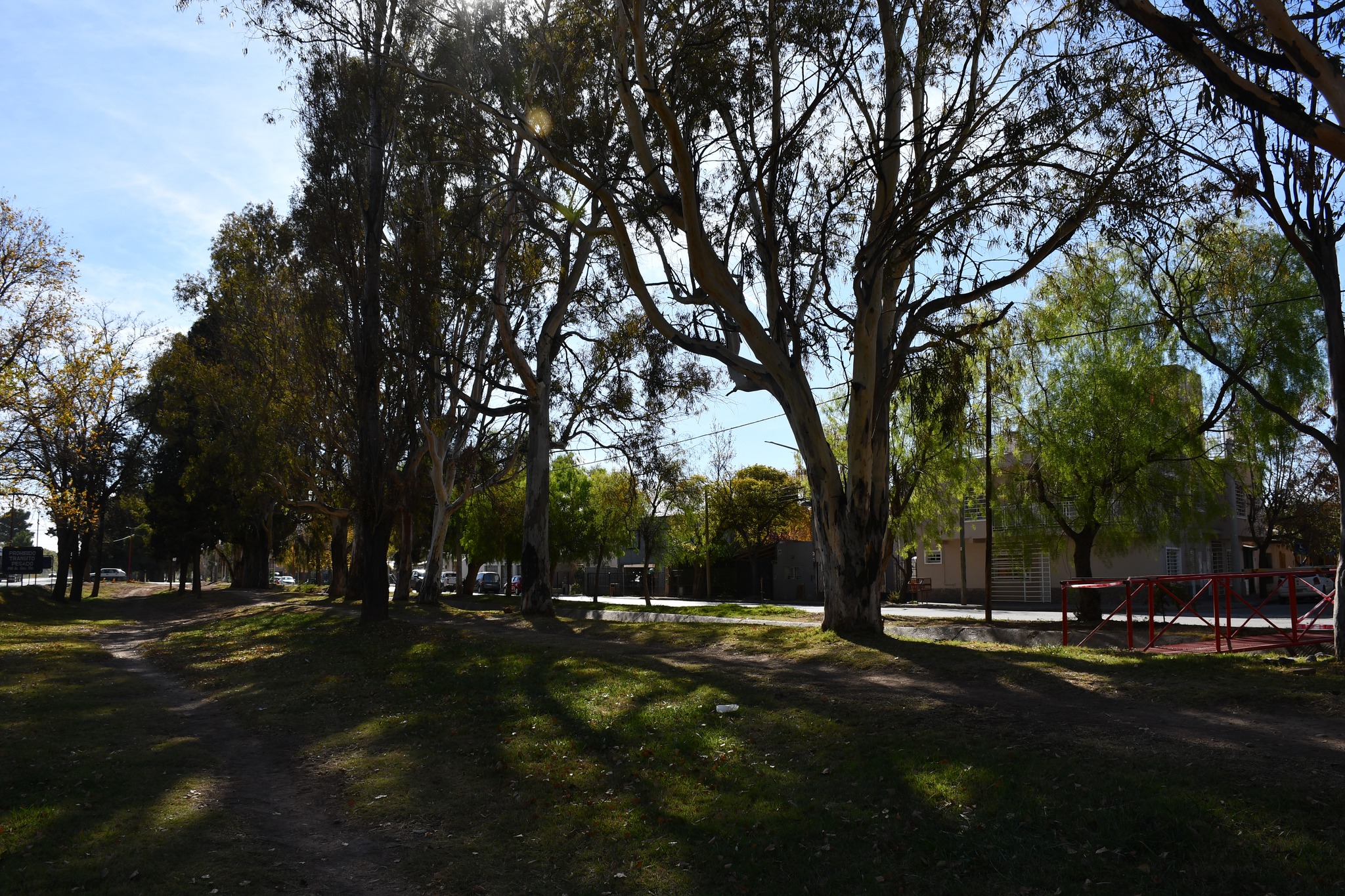 Mejoras en calles y espacios verdes durante el fin de semana