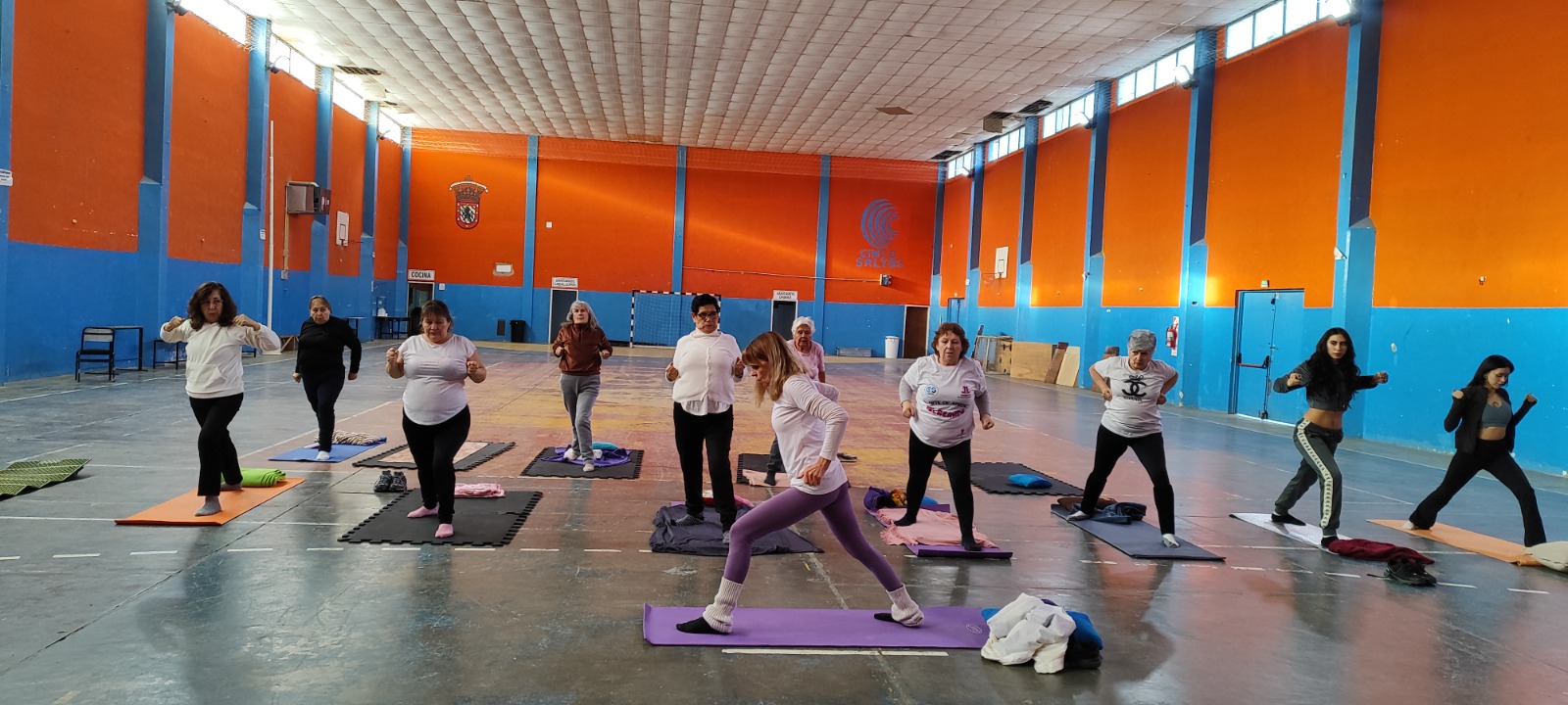 Día Internacional del Yoga en Cinco Saltos