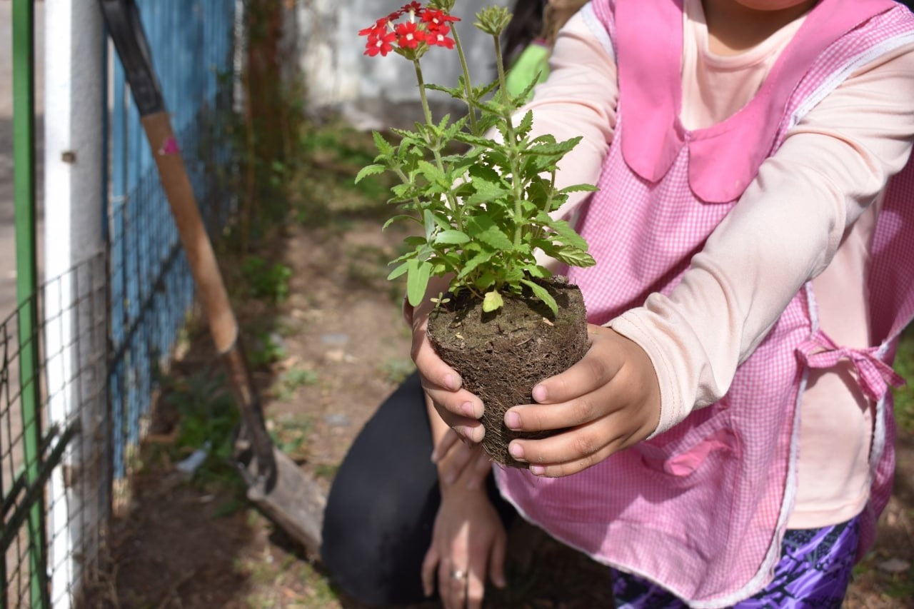 Medio ambiente en escuelas de la ciudad