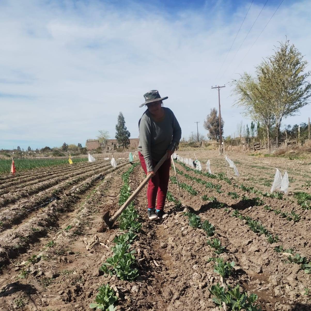 Productores y emprendedores locales
