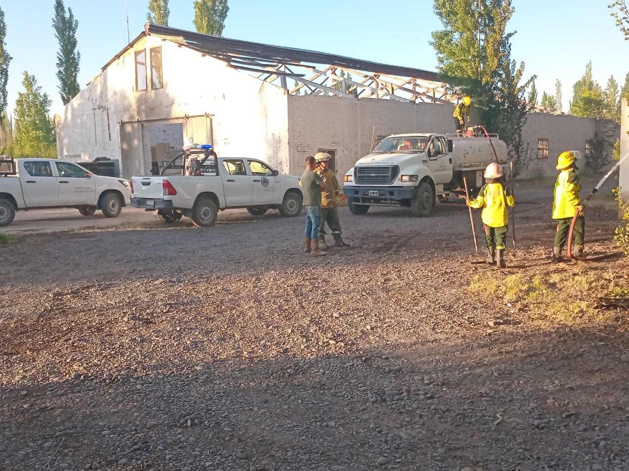 🚨 Protección Civil y Servicios Públicos