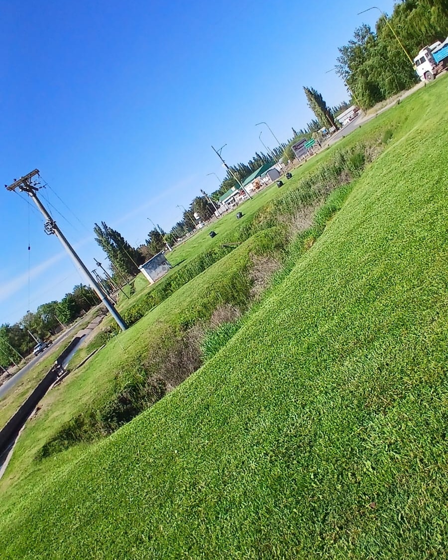 🌳 Espacios Verdes