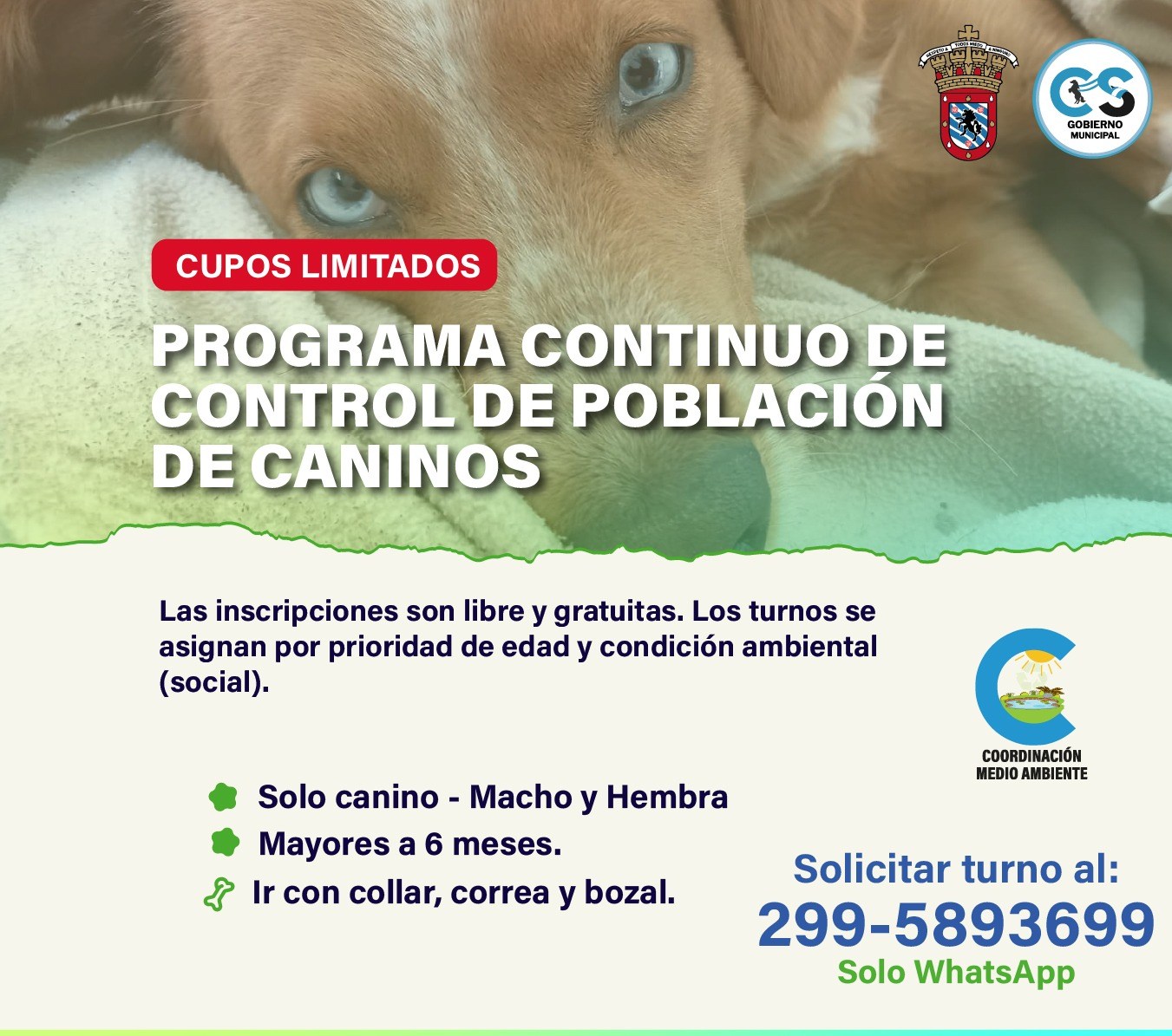 Programa de Control Poblacional de Caninos: Turnos disponibles