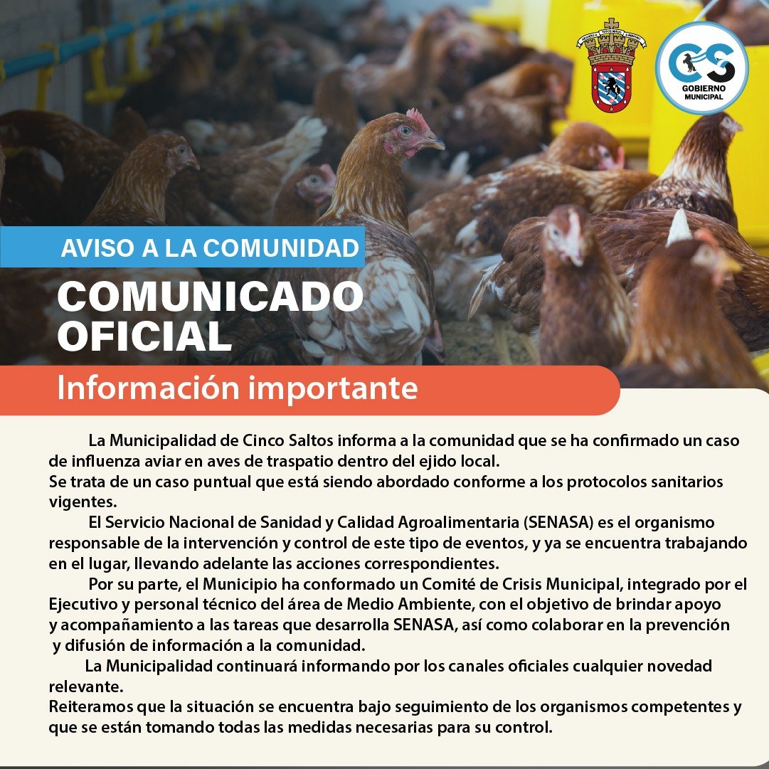 Comunicado Oficial: Intervención por caso de influenza aviar en la ciudad