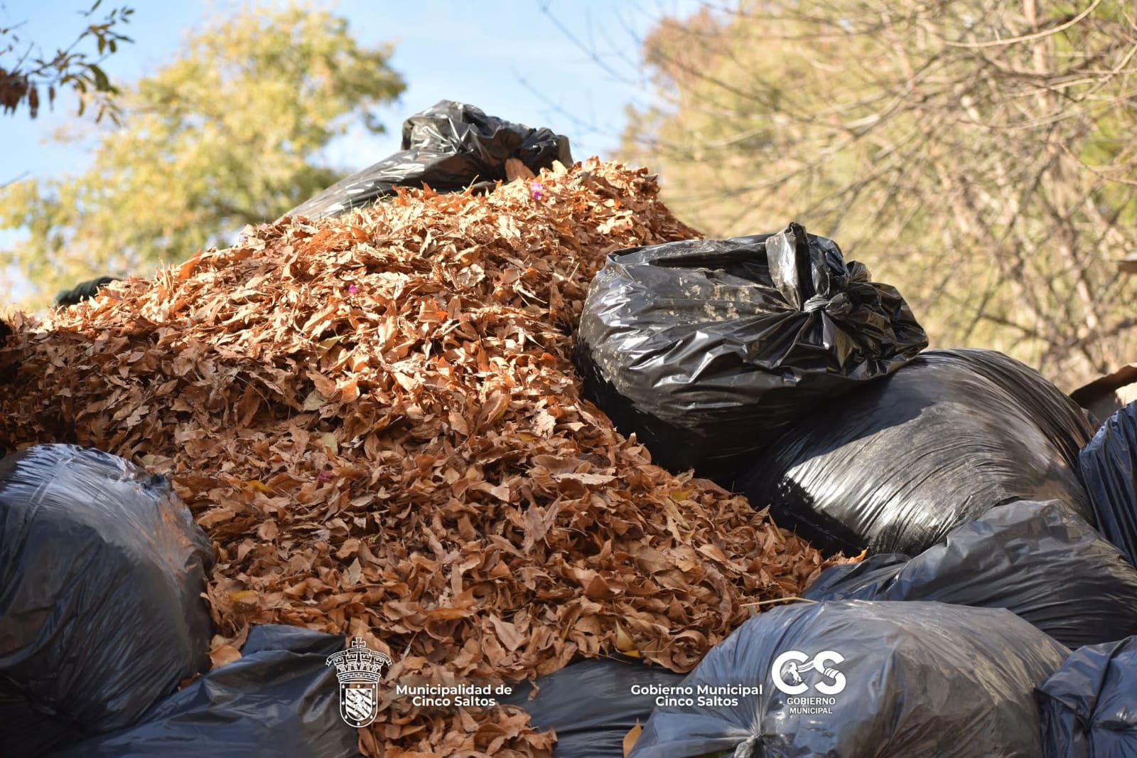 Avanzan las tareas de recolección de ramas y residuos en la ciudad