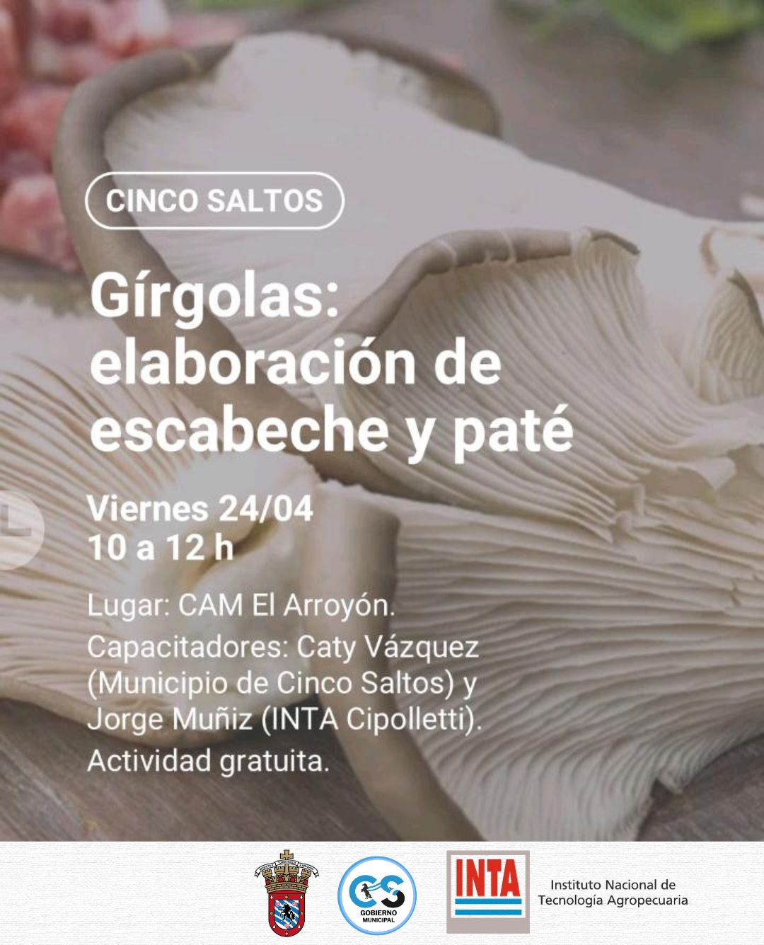 Capacitación gratuita en elaboración de escabeche y paté de gírgolas