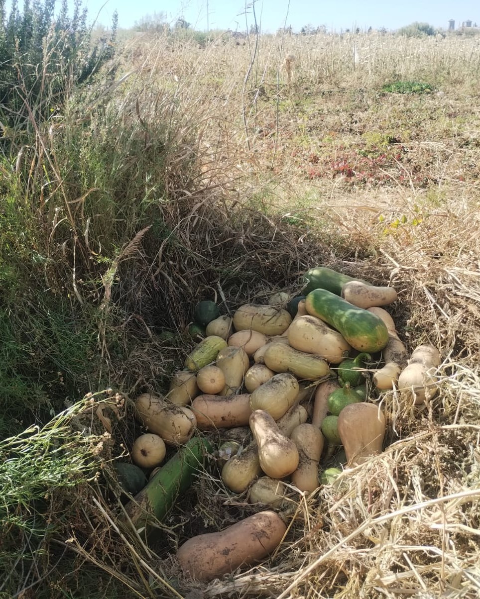 Fortalecimiento de la producción regional: acompañamiento a productores en el Paraje El Arroyón