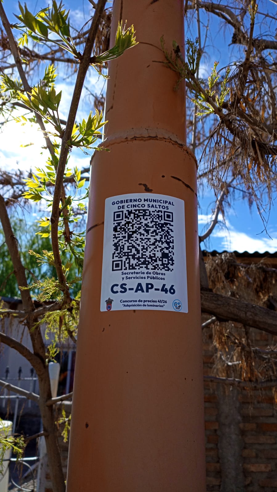 CS-AP-46